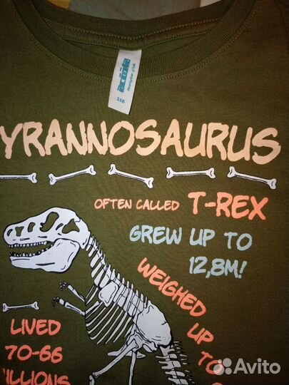 Лонгсливы для мальчика