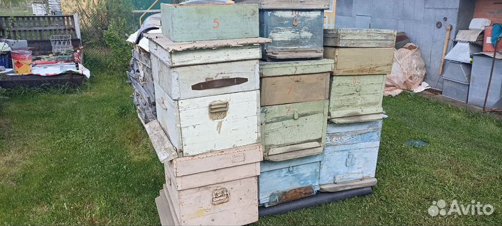 Ульи для пчел бу