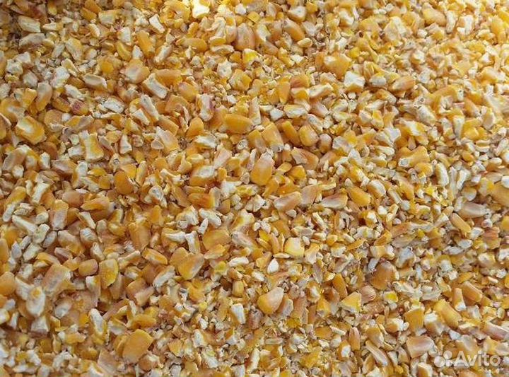 Кукуруза зерно,колотое