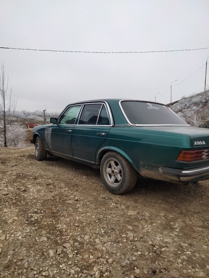 Mercedes-Benz W123: фото владельца