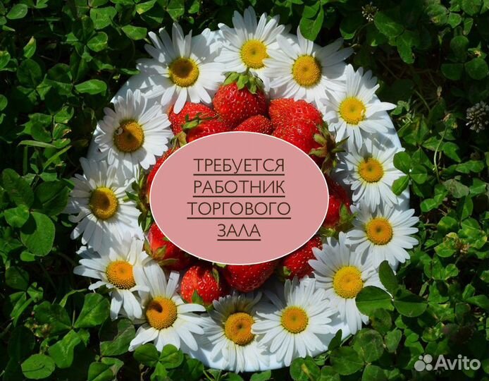 Подработка на лето для студентов любой день