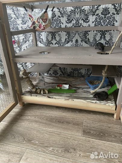 Клетка для крыс