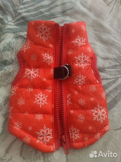 Одежда для маленьких собак