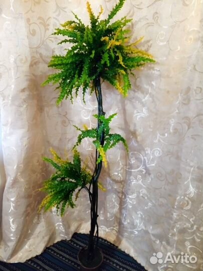 Продам деревья, как натуральные