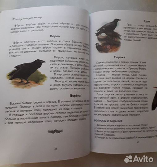 Первая после букваря книга для чтения