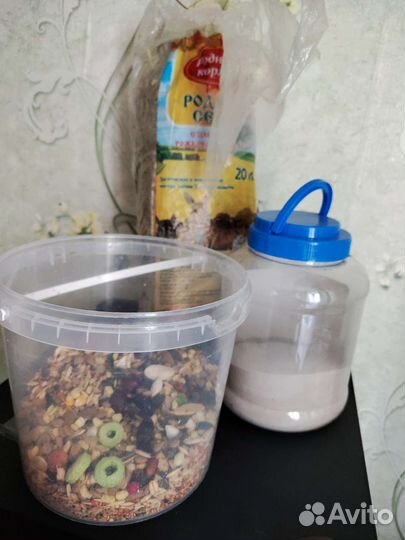 Хомяк с клеткой с набором все для джунгарика