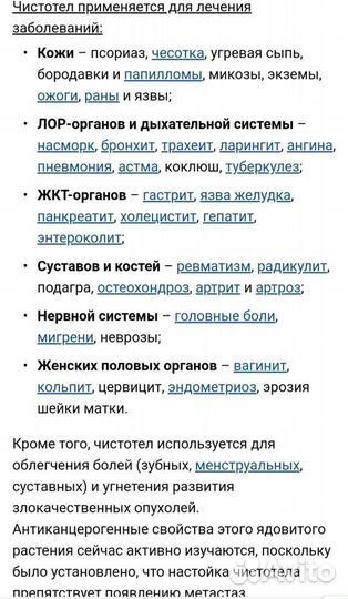 Чистотел растение