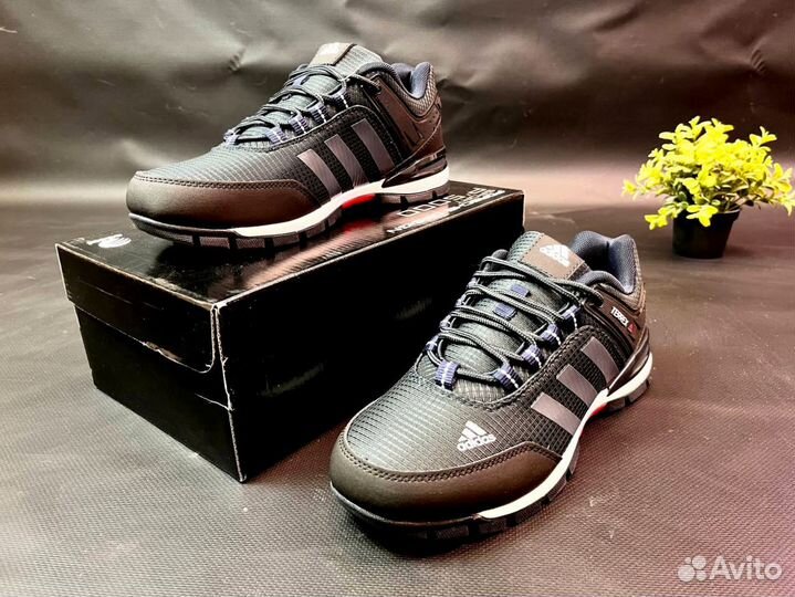 Кроссвки Adidas Terrex