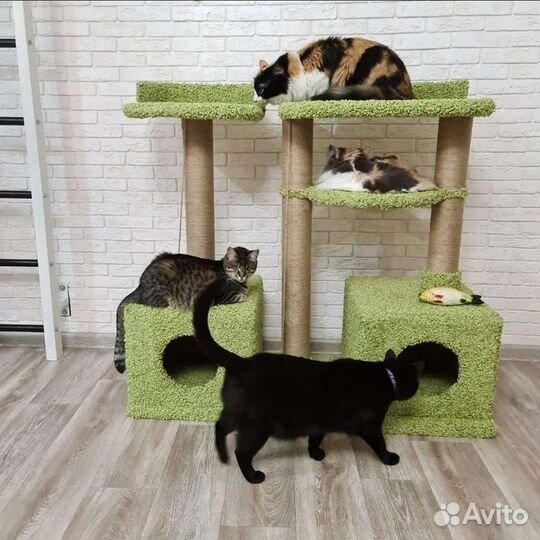 Когтеточки от 52см до 200см