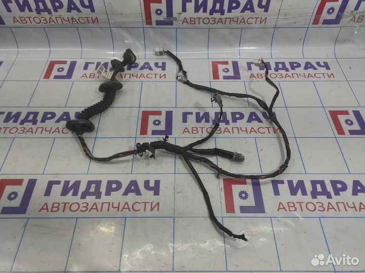 Проводка двери передней правой Nissan Almera (N16) 24125-BN904