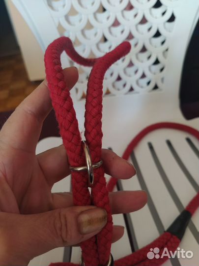 Товары для домашних животных