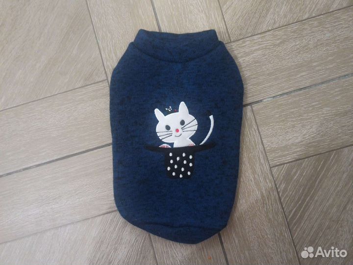 Одежда для кошек