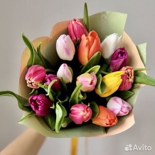 Тюльпаны 15 шт