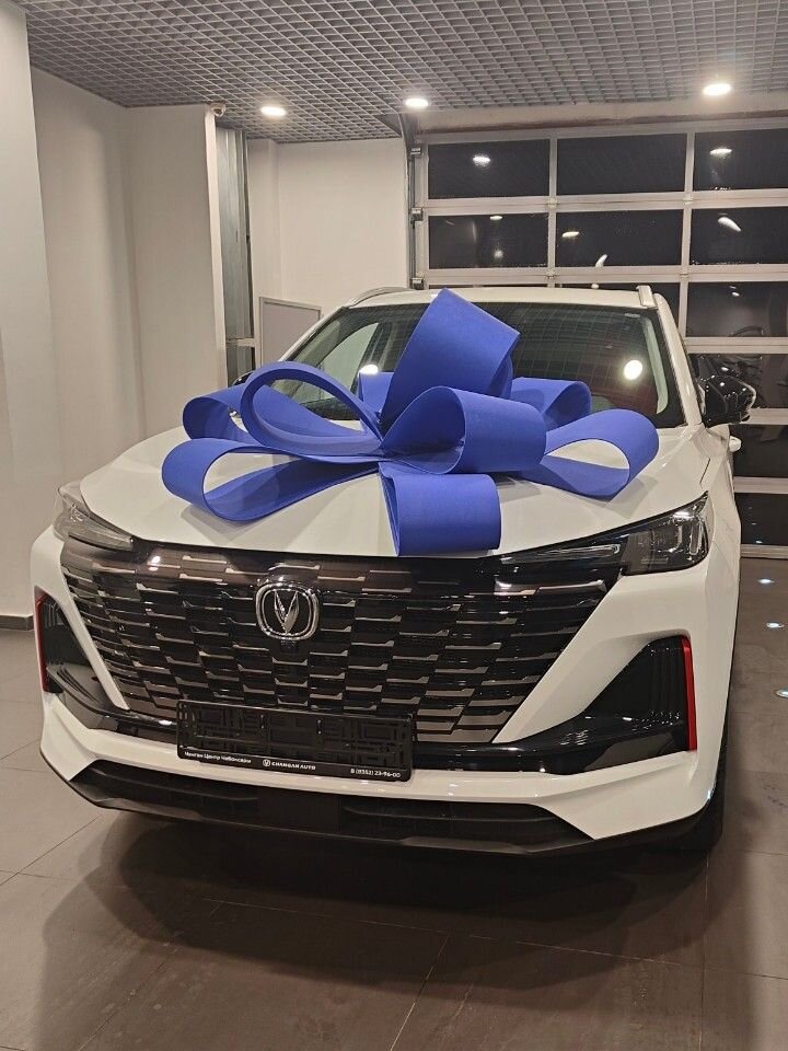 Changan CS55 Plus: фото владельца