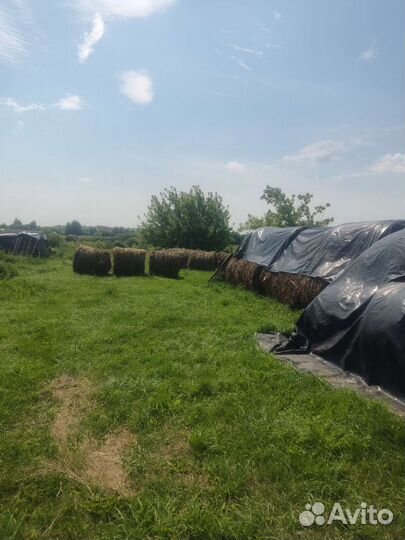 Сено в тюках