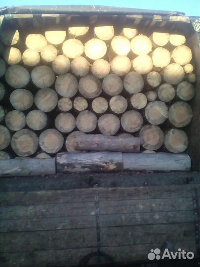 Дрова сухара