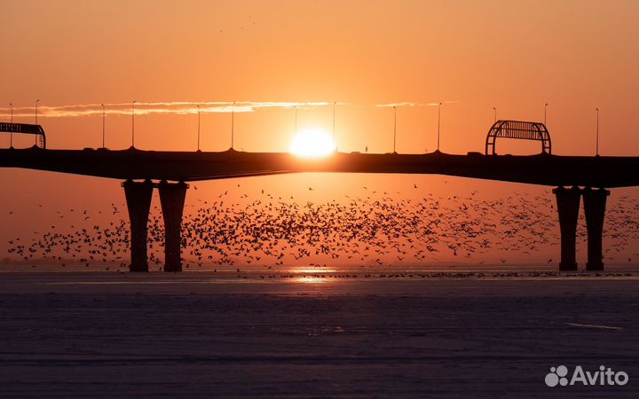 Интерьерная авторская фотография