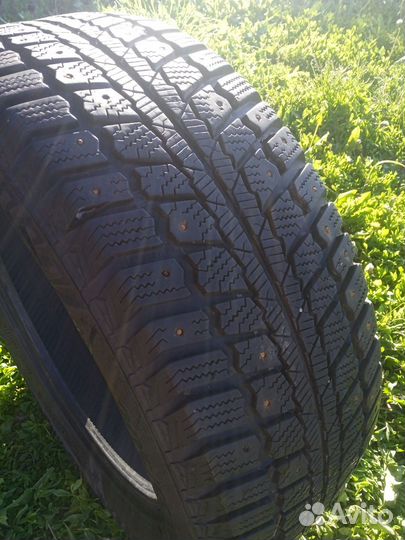 Matador MP 50 Sibir Ice 205/55 R16