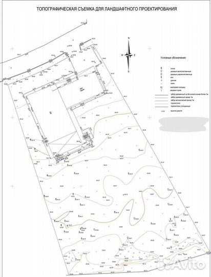 Геодезист/Вынос участка/Топография/Межевание