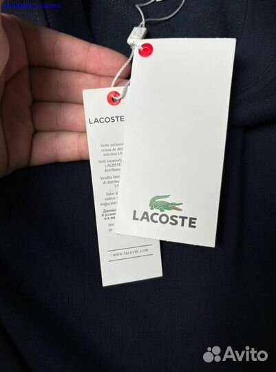 Свитшот Lacoste