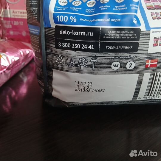 Сухой корм для котят