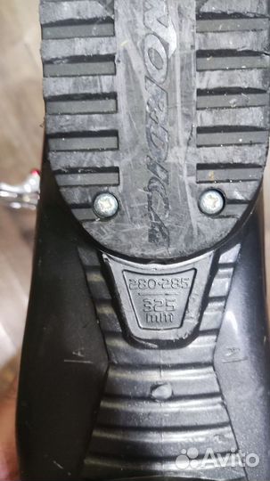 Горнолыжные ботинки Nordica Cruise NFS 60