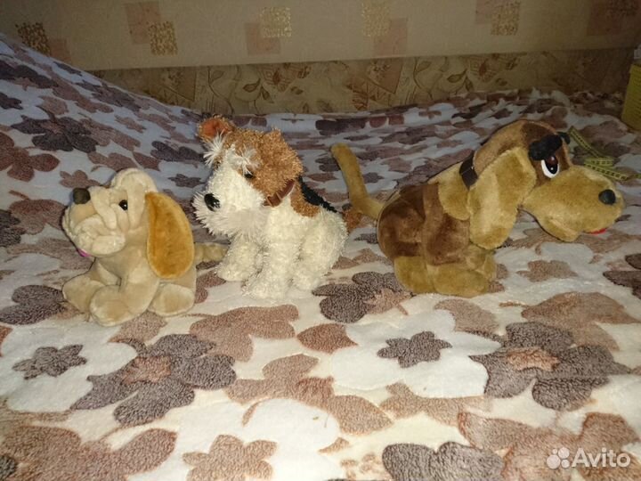 Мягкие игрушки собаки