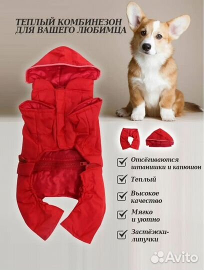 Комбинезон для маленькой собачки