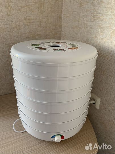 Шиповник сушеный 2024