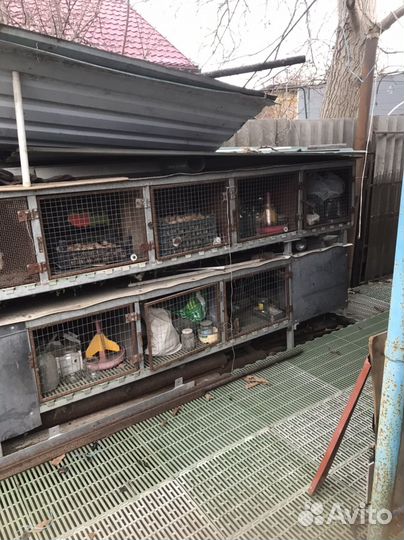 Клетка для кроликов с маточником