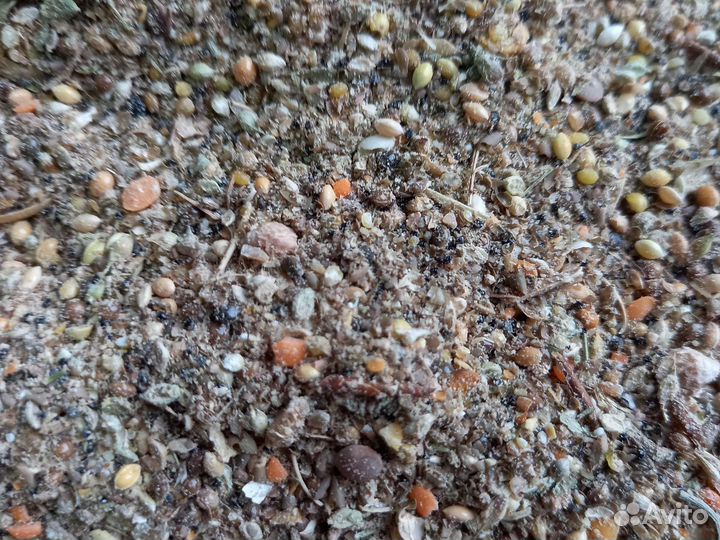 Отходы зерна в мешках