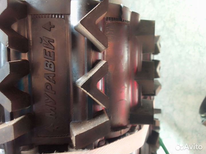 Гусиници муравей