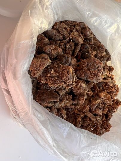 Прополис пчелиный