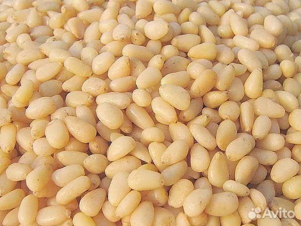 Орех кедровый