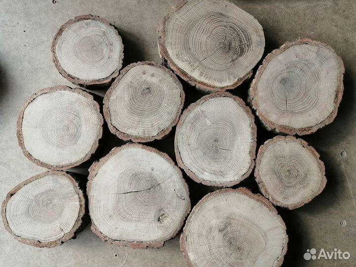 Для творчества - заготовки круглые из дерева