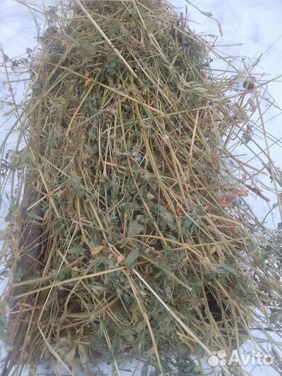 Продам сено