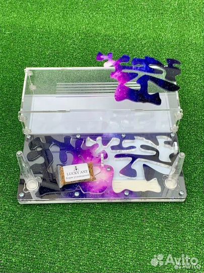 Муравьиная ферма 