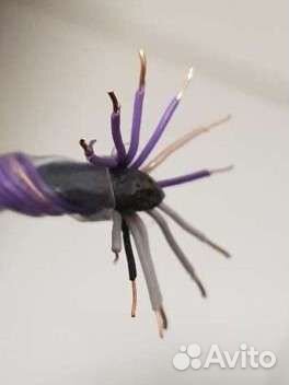 Провод межблочный XLO Signature Reference