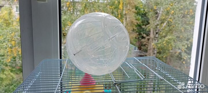 Клетка для джунгарского хомяка