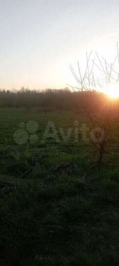 Участок 20 сот. (ИЖС)