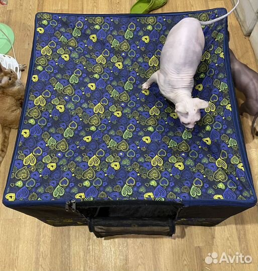 Вольер для кошек и котят 75*75*55