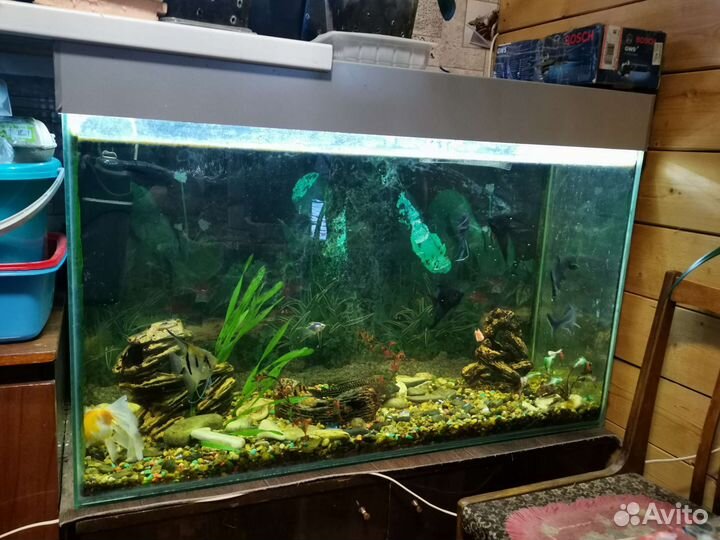 Украшения для аквариума