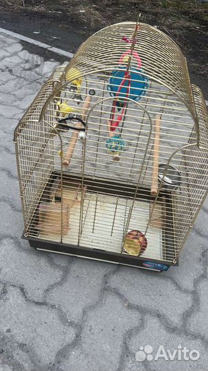 Клетка для попугая