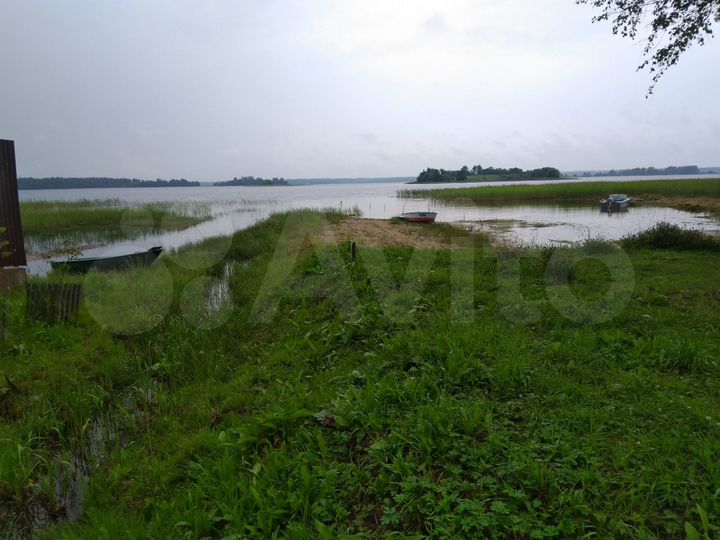 Участок 48,1 сот. (ИЖС)