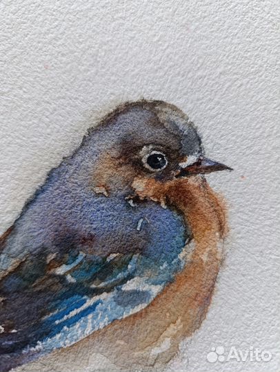 Работа акварель 