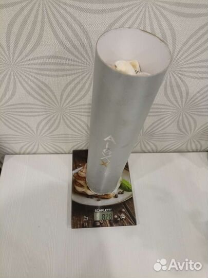 Морские ракушки