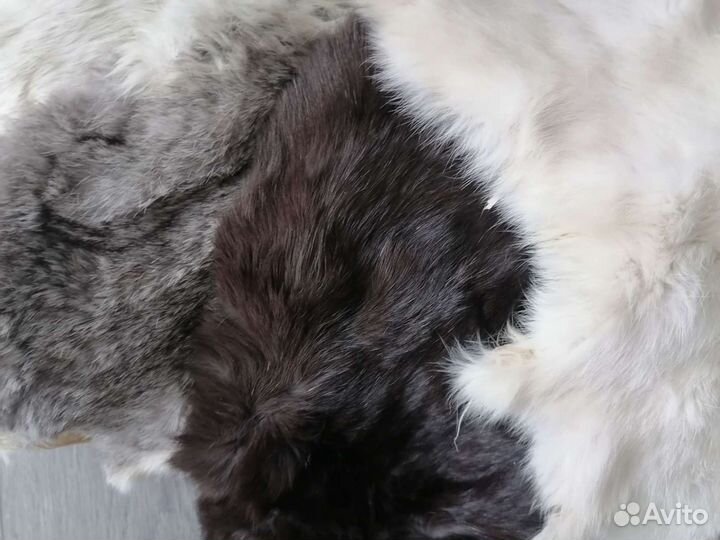 Шкура кролика