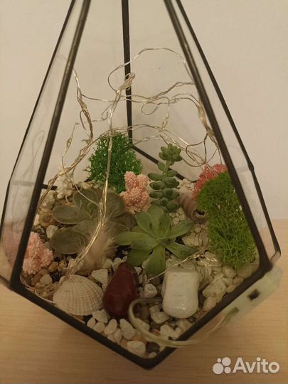 Флорариум с сукулентами