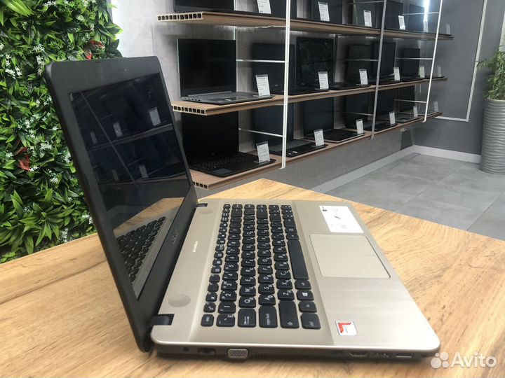 14 asus/AMD A6/8Gb/SSD 256Gb с гарантией