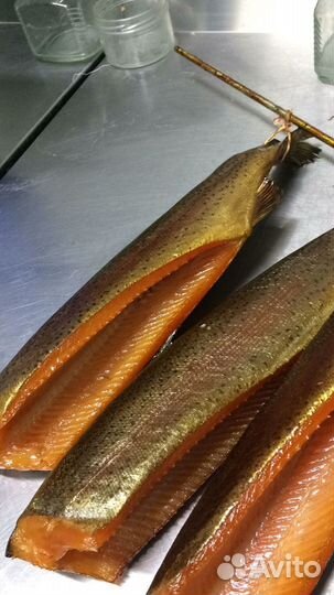 Балык из форели Х/К